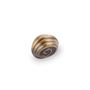 Picture of 1 1/4" Palm Leaf Cabinet Knob 