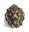 Picture of 1-1/2" Inspiration Lion Head Knob 