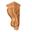 Picture of Unfinished Small Acanthus Corbel Alder (CORBEL-A-13-AL)